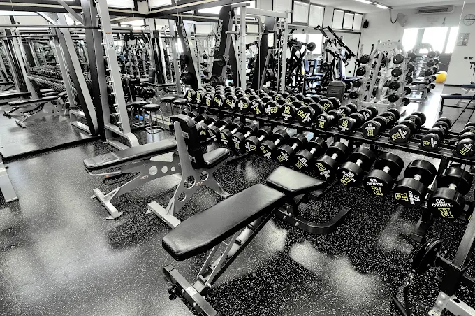 Sala cardio della palestra di Bastia Umbra con tapis roulant ed ellittiche
